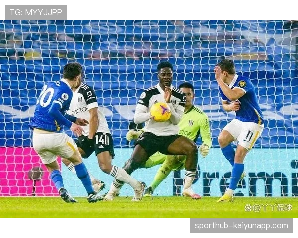 富勒姆客场击败桑德兰 两队主帅赛后接受采访 富勒姆客场击败桑德兰 两队主帅赛后接受采访